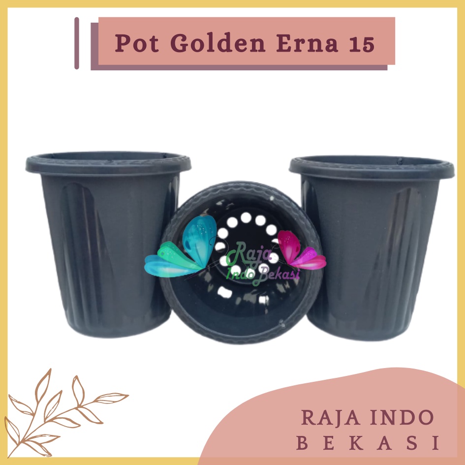 Pot GE15 Golden Erna 15 Hitam Garden Of Love Mirip Pot Yogap 10 13 15 Putih Coklat Merah Bata Bening Transparan Pot Yogap 17 18 19 Pot Yogap Murah Pot Bunga Tinggi Pirus Tegak Bagus Tebal