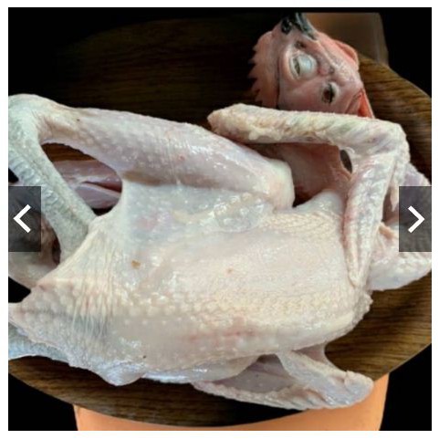 

AYAM KAMPUNG UTUH