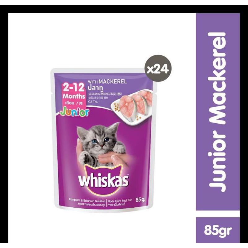 1 Bok whiskas sacheat junior mackerel isi 24