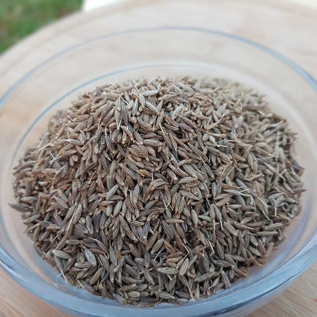 

Jinten Kasar(Ukuran Besar)