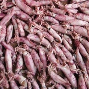 

cumi kering~ cumi asin