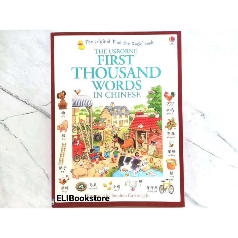 Usborne Original First thousand words in chinese / arabic