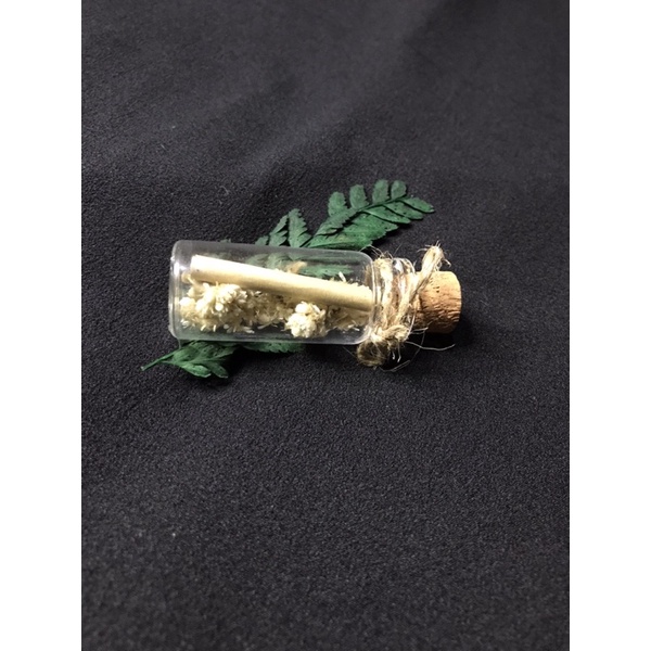 

BOTOL eidelwis // message in bottle // share in jar