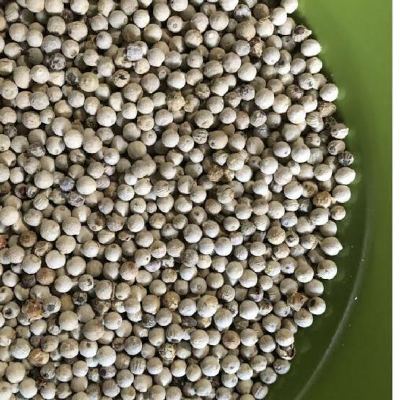 

LADA PUTIH ASLI MERICA PUTIH 100gr BUMBU DAPUR ORGANIK