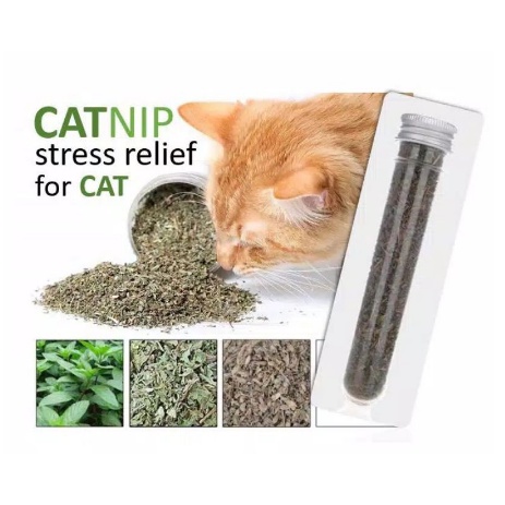 CATNIP STRESS RELIEF FOR CAT 40ml herbal alami penghilang stress dan menggembirakan kucing