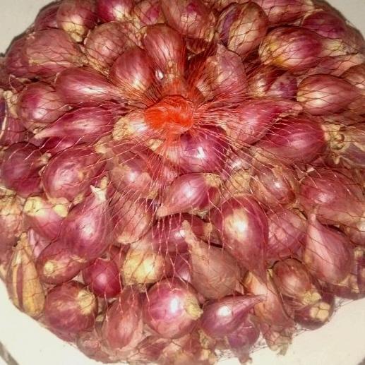 

[[COD]] BAWANG MERAH BREBES SEDANG BAGUS CAMPUR 1KG GRATIS ONGKIR Kode 1005