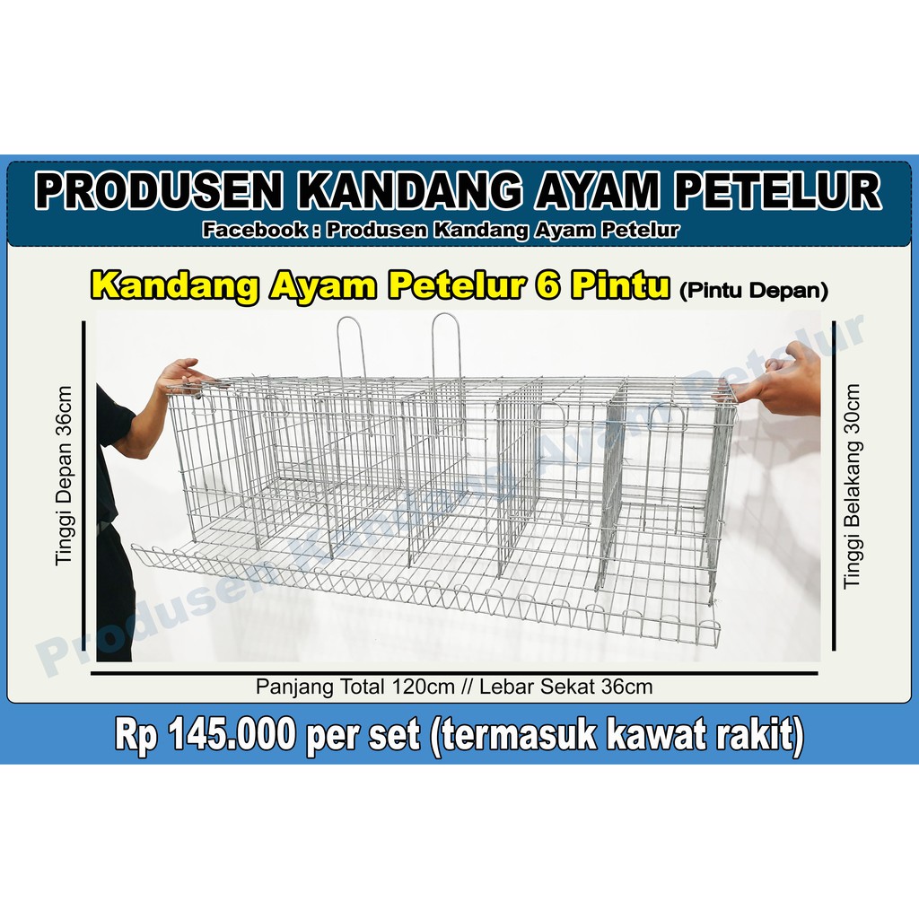 Kandang Ayam Petelur 6 depan isi 6 ekor (termasuk gantol nipel)