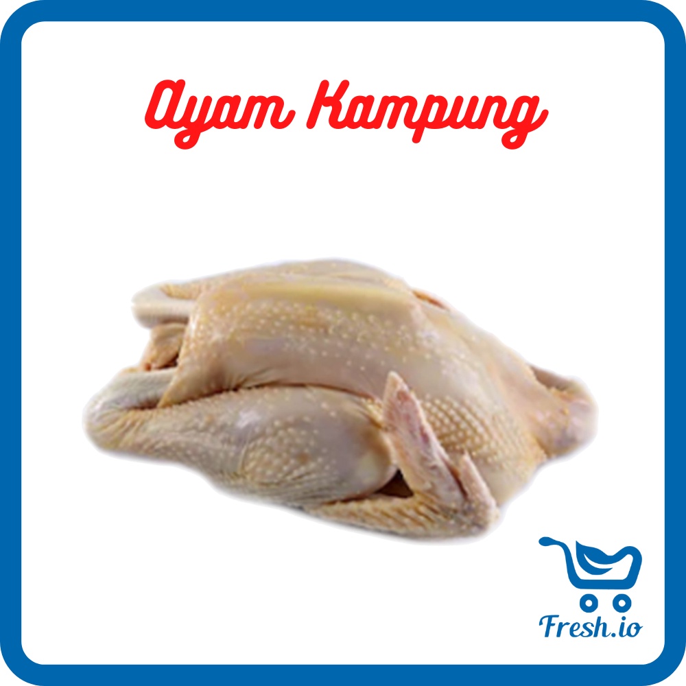 

Ayam Kampung