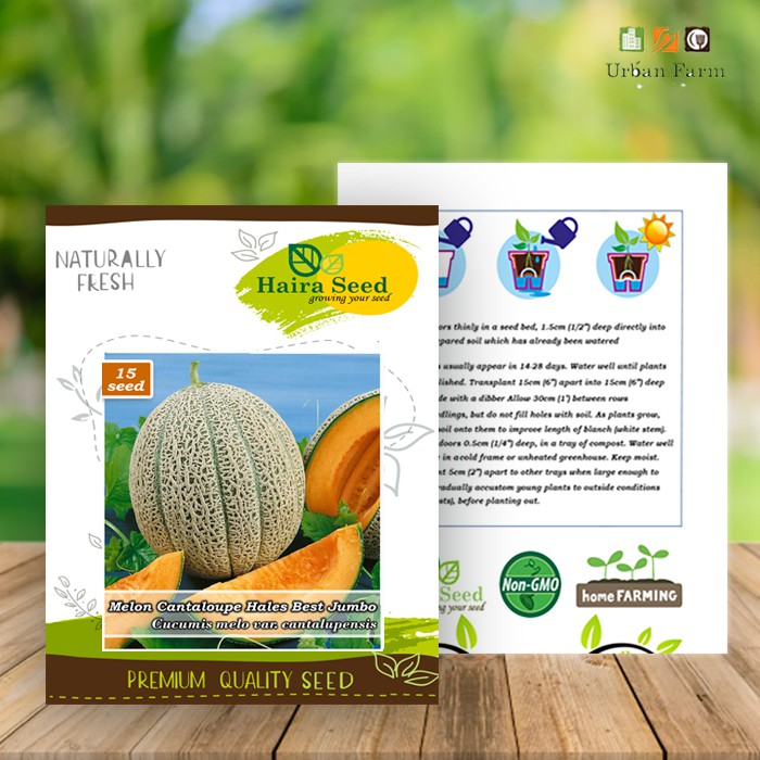 Benih-Bibit Melon Cantaloupe Hales Best Jumbo (Haira Seed)