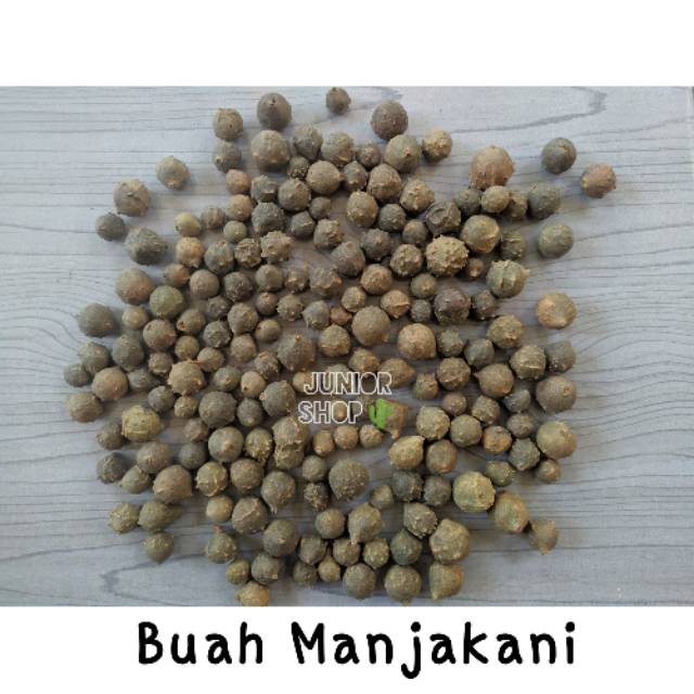 

BUAH MANJAKANI / MAJAAN