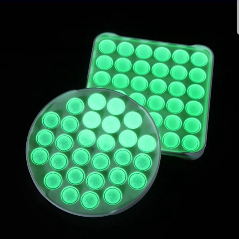 SIMPLE DIMPLE POP IT NEW GLOW IN THE DARK TERBARU / MAINAN ANAK MURAH / POP IT SILIKON PEREDA STRESS-8
