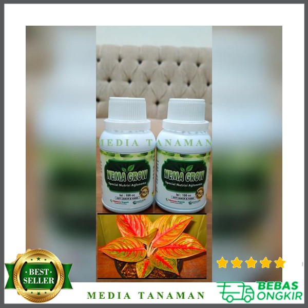 Nema grow nutrisi vitamin aglonema Ready Stok