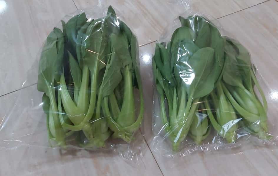 Jemuran Dinding Drying Laundry Stainless Anti Karat Jemuran Lipat Gantung 3 Galang Single 0.8m 80cm