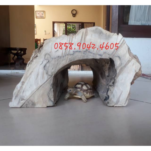Rumah kura kura / hiding cave kayu kopi