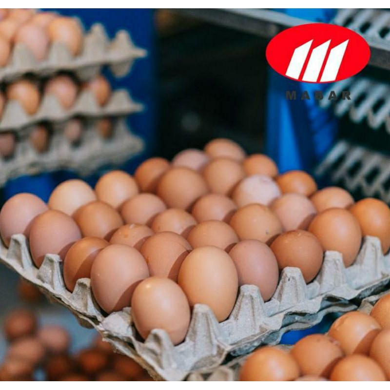 

Telur Ayam LCH Kemasan Papan (Isi 30 Butir)