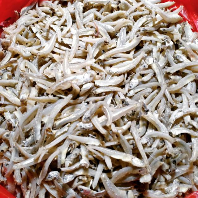 

Ikan terrii tawar fres bagus