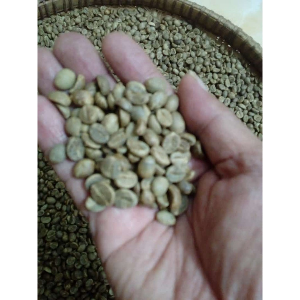 

Biji Kopi Robusta Martinie