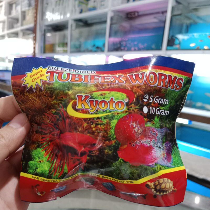 cacing kering tubifex worms