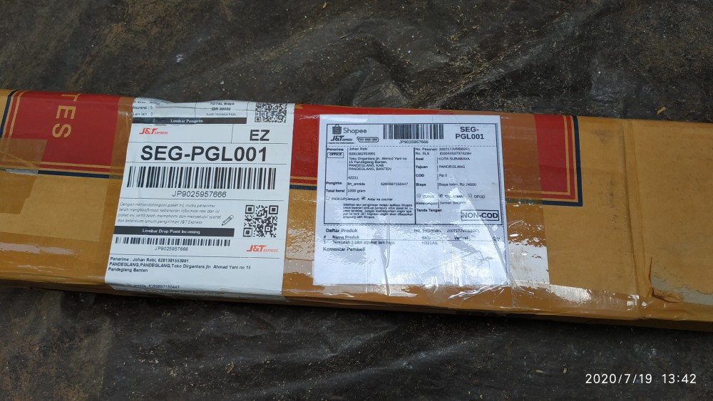 Termurah/ Paling Murah Pakettt 3batang Bibit Tanaman Buah Alpukat Lam Hass