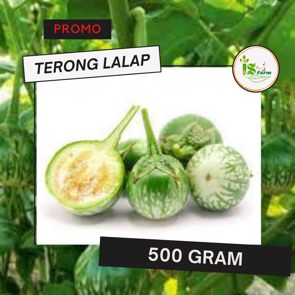 

Terong Lalap 500 gram