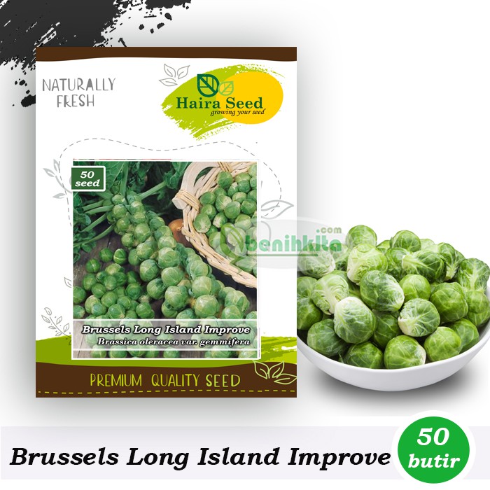 Benih-Bibit Brussels Long Island Improved (Haira Seed)