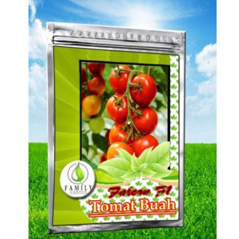 Benih Tomat Buah