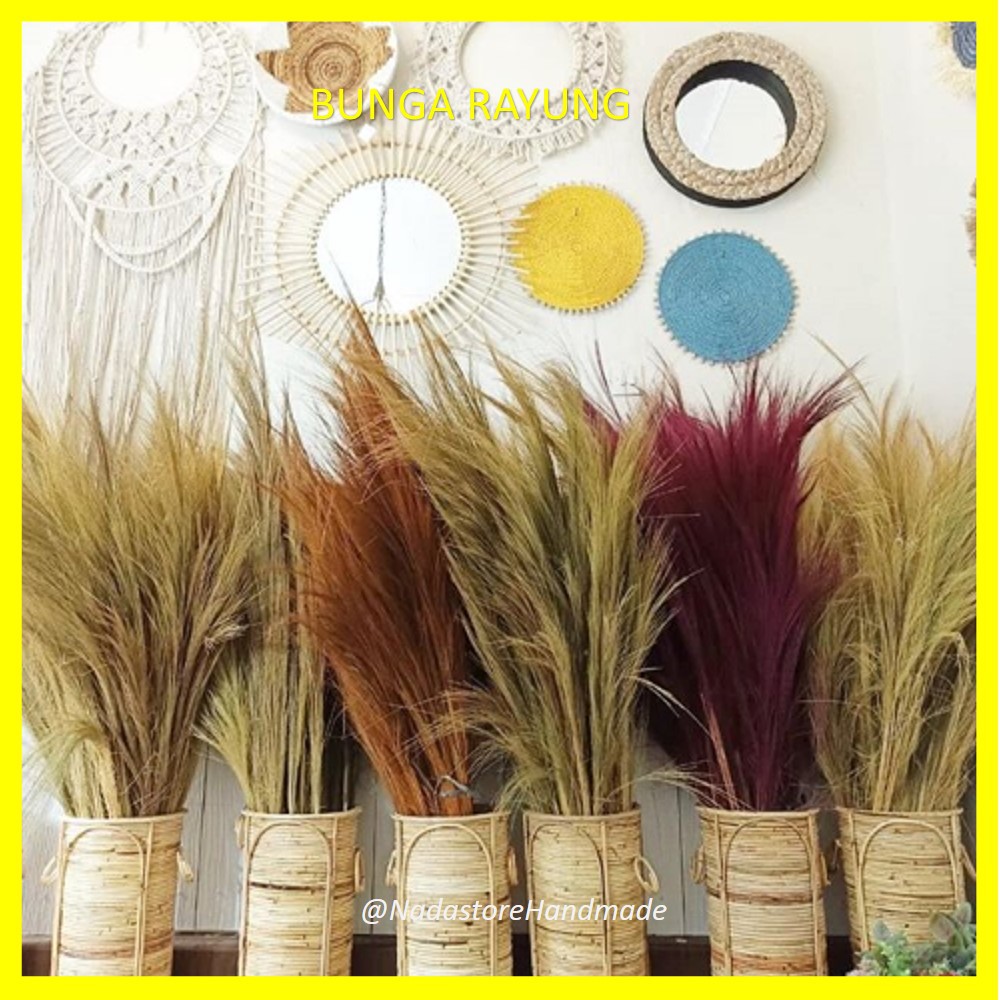 Dried flower Long grass 100 cm / Bunga kering / pampas merak / Rayung 1 ikat isi 10 sd 12 tangkai