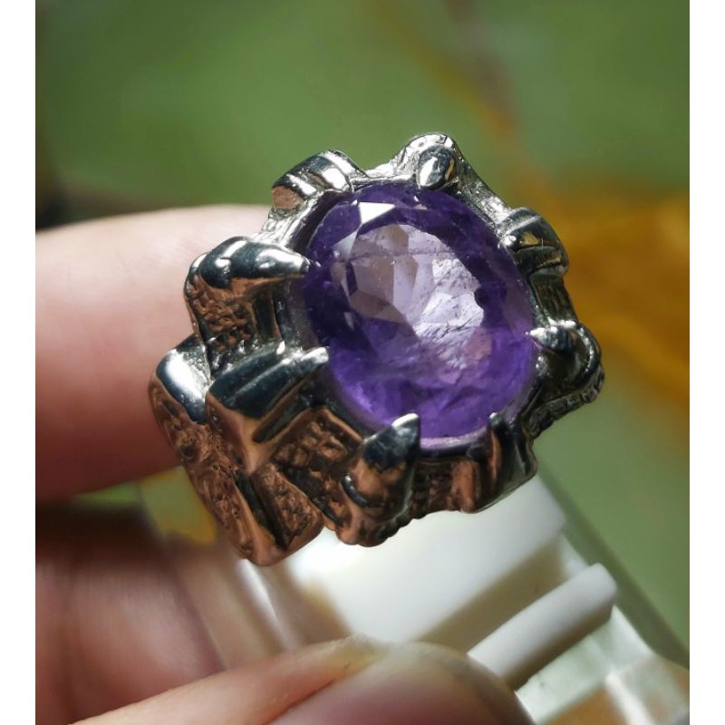 Kecubung Ungu Cutting