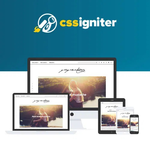 

CSS Igniter Paperbag WordPress Theme