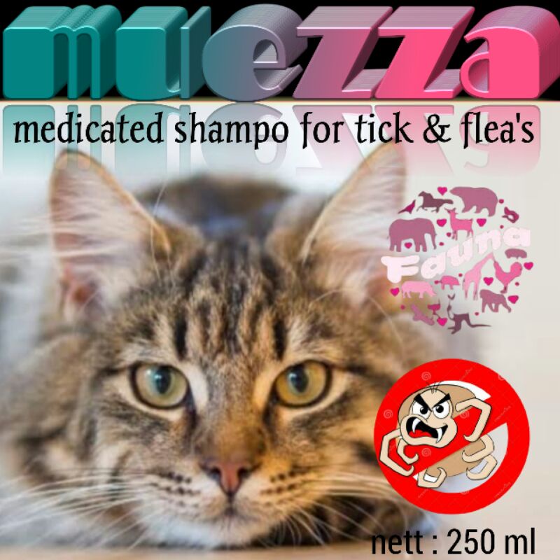 muezza medicated shampo pengobatan sampo obat anti kutu jamur tick Flea untuk kucing anjing musang murah manjur promo diskon terlaris