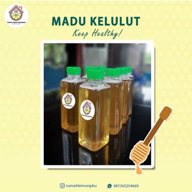 

Madu kelulut