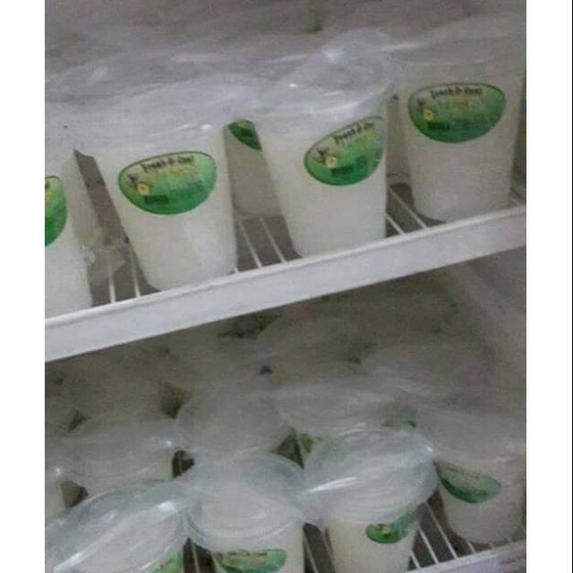 Puding kelapa Cup besar