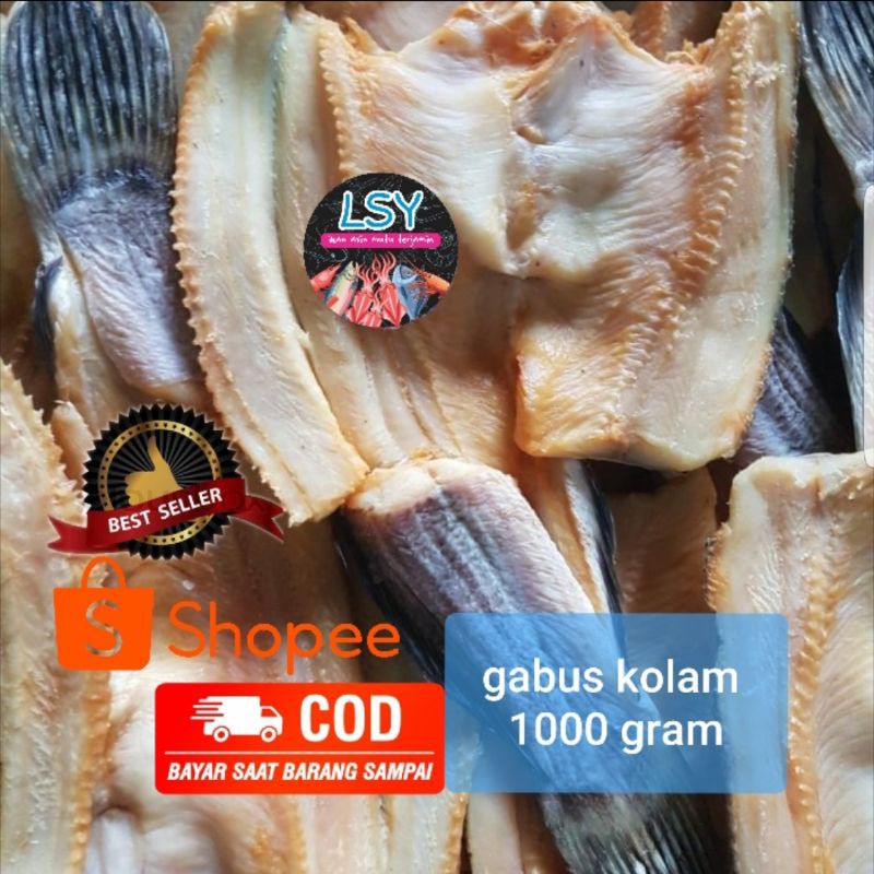 

ikan asin gabus kolam size besar 1000gram / 1 kg