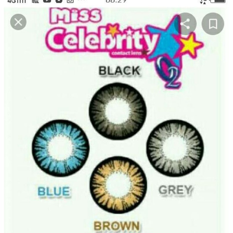 [ Normal ) MISS CELEBRITY COLOR