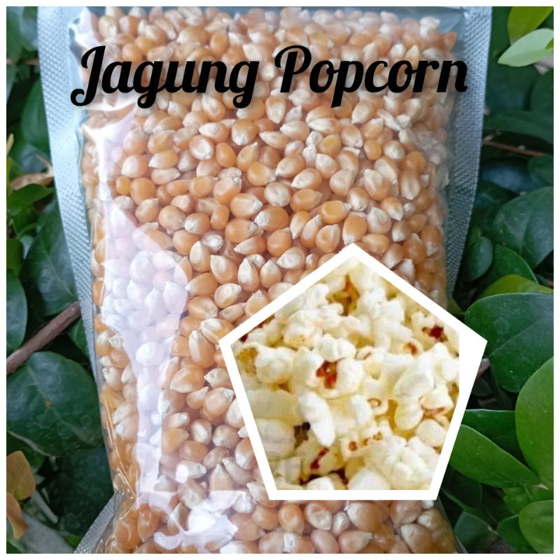 

Jagung Popcorn 500gr Mentah Kwalitas OK / Brondong /biji jagung pop cron rasa original