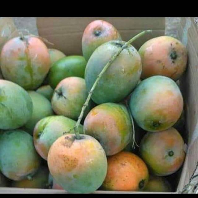

Mangga super