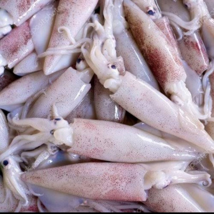 

Cumi Segar Ukuran Sedang - 500 Gram