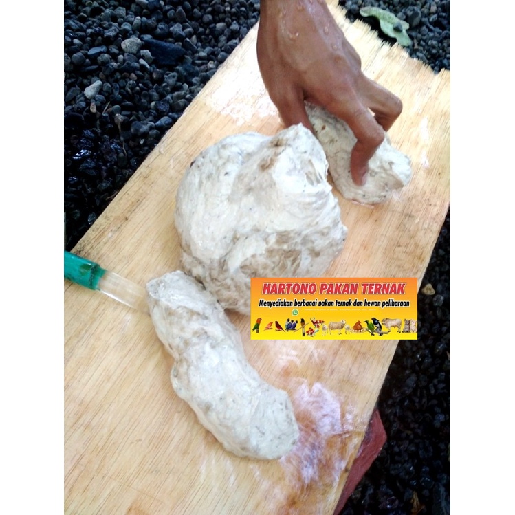 Pulot / pulut burung kemasan -+ 1 KG pikat burung