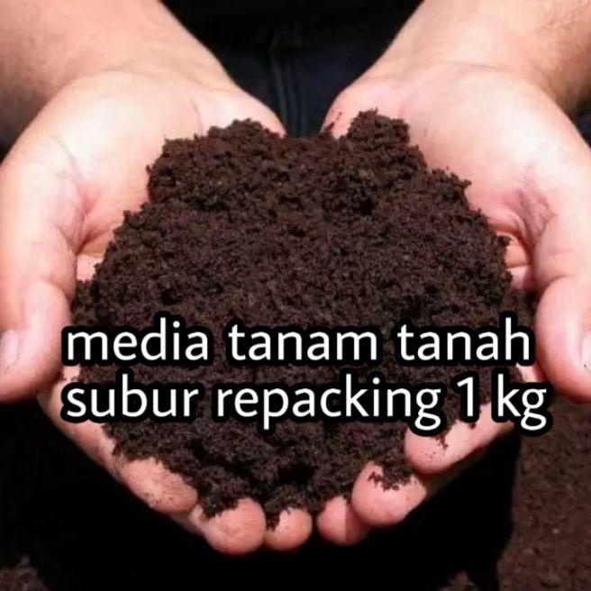 media tanam tanah subur repacking 1 kg / media tanaman tanah subur