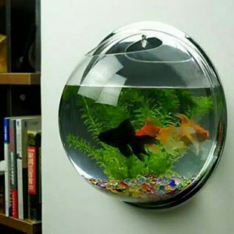 aquarium dinding