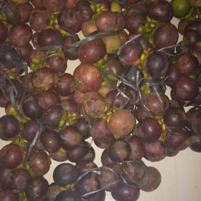 

Buah manggis