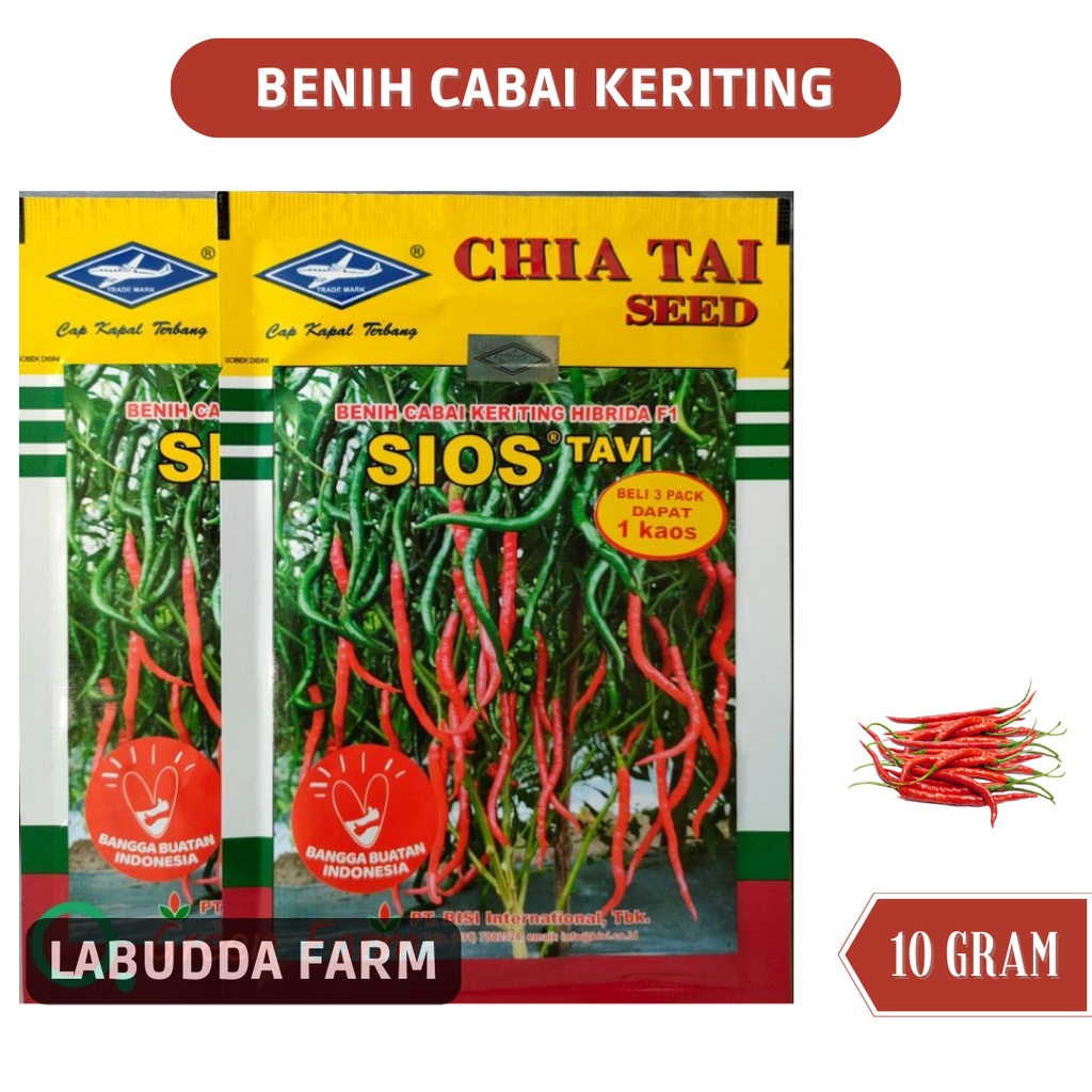 Bibit Cabe Cabe Hibrida Sios Tavi 10gr Original Pabrik Tahan Virus Gemini Cap Kapal Terbang - Bibit 