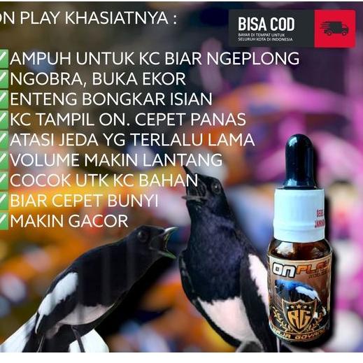 Viral /y35♜ PENGGACOR KACER ONPLAY, VITAMIN KACER AGAR GACOR, VITAMIN KACER TROTOL, VITAMIN KACER NG