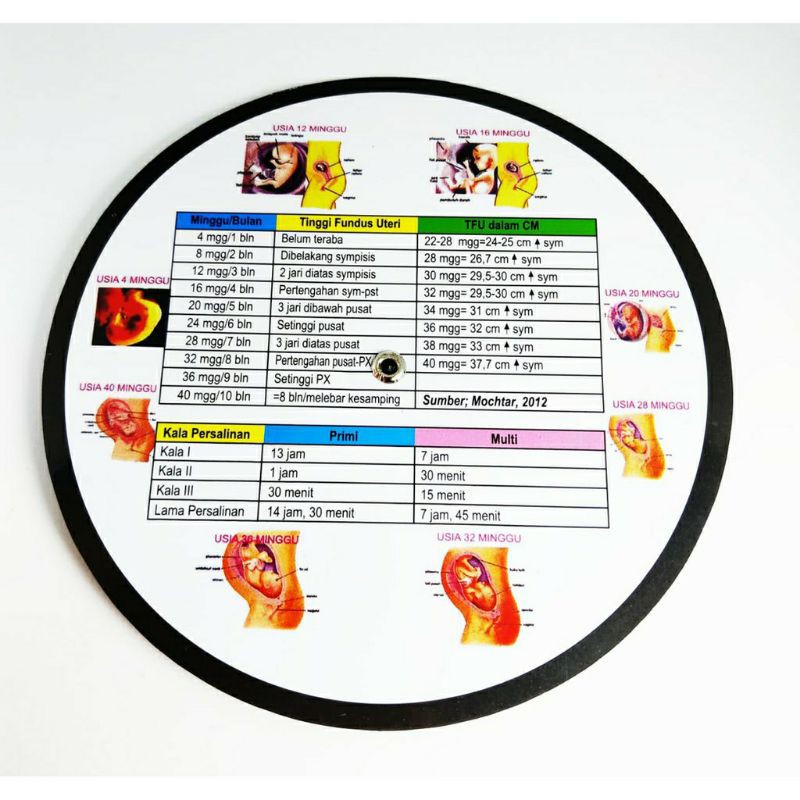 LINSET KALENDER KEHAMILAN