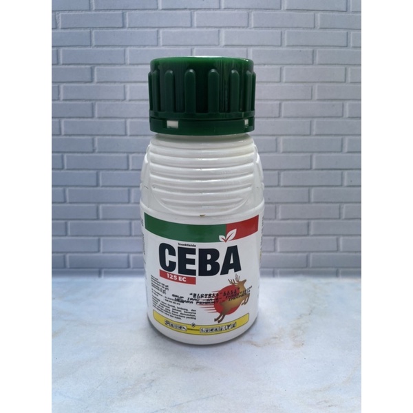 Ceba 125EC 200ml Insektisida