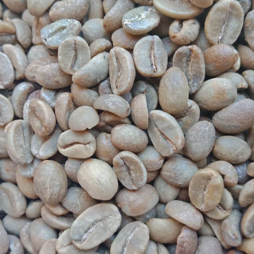 

Kopi Bali Kintamani Mentah [Green Beans] Natural Proses
