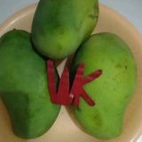

Mangga Harum Manis