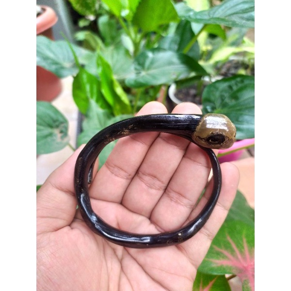 Akar Bahar hitam gelang akar Bahar hitam asli bonggol minimalis