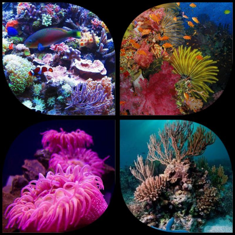 

[Buy 5 Only Rp70.000] Kalender 2021 tema murah/souvenir unik