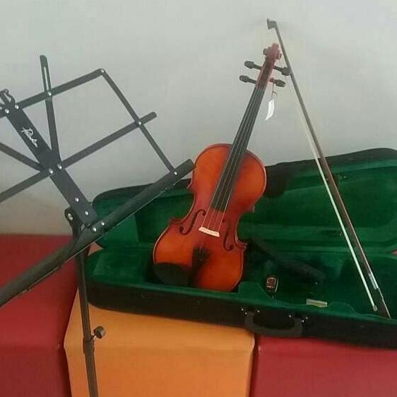 Paket Biola Vienna lengkap